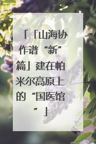 「山海协作谱“新”篇」建在帕米尔高原上的“国医馆”