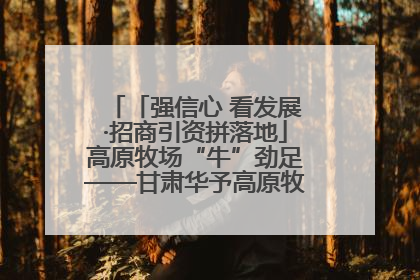 「强信心 看发展·招商引资拼落地」高原牧场“牛”劲足——甘肃华予高原牧场高标准奶牛肉牛养殖项目一线见闻