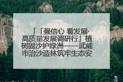 「强信心 看发展·高质量发展调研行」植树固沙护绿洲——武威市治沙造林筑牢生态安全屏障见闻