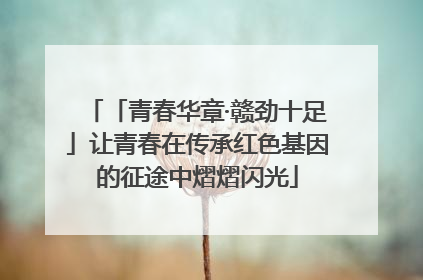 「青春华章·赣劲十足」让青春在传承红色基因的征途中熠熠闪光