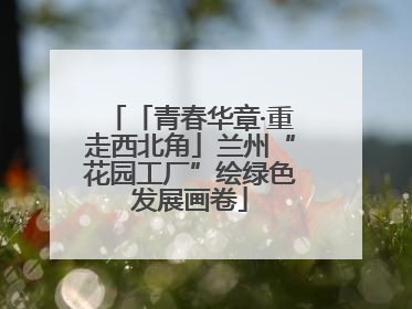 「青春华章·重走西北角」兰州“花园工厂”绘绿色发展画卷