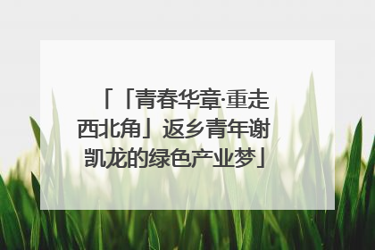 「青春华章·重走西北角」返乡青年谢凯龙的绿色产业梦