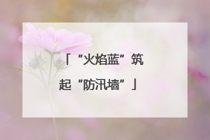 “火焰蓝”筑起“防汛墙”