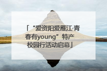 “爱资阳爱雁江·青春有young”特产校园行活动启幕