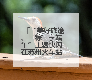 “美好旅途、‘粽’享端午”主题快闪在苏州火车站、苏州南站候车大厅上演