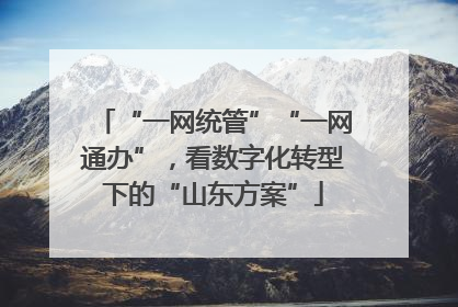 “一网统管”“一网通办”，看数字化转型下的“山东方案”