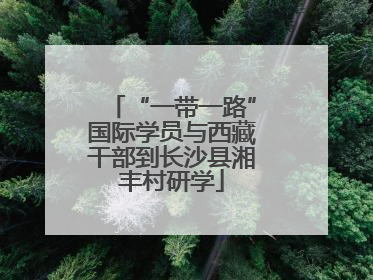 “一带一路”国际学员与西藏干部到长沙县湘丰村研学