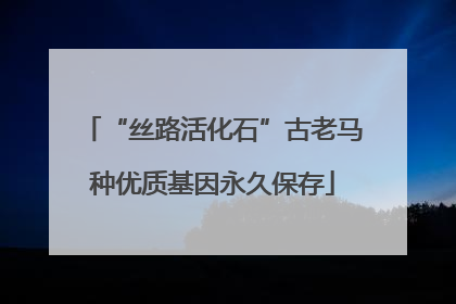 “丝路活化石”古老马种优质基因永久保存