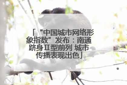 “中国城市网络形象指数”发布：南通跻身Ⅱ型前列 城市传播表现出色