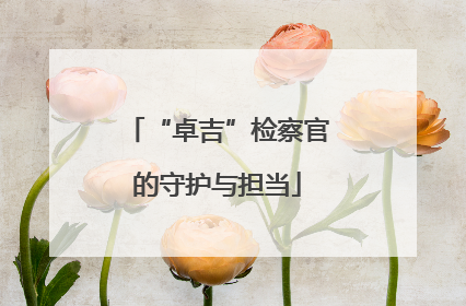 “卓吉”检察官的守护与担当