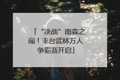 “决战”南森之巅！丰台武林万人争霸赛开启
