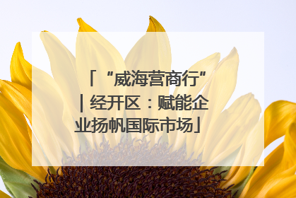“威海营商行”｜经开区：赋能企业扬帆国际市场