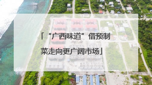 “广西味道”借预制菜走向更广阔市场