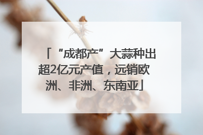 “成都产”大蒜种出超2亿元产值，远销欧洲、非洲、东南亚