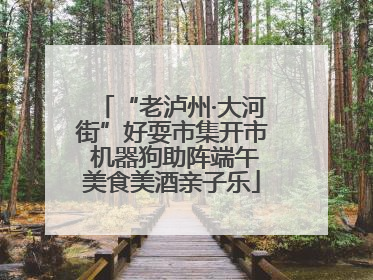 “老泸州·大河街”好耍市集开市 机器狗助阵端午美食美酒亲子乐
