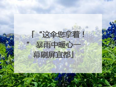 “这伞您拿着!” 暴雨中暖心一幕刷屏宜都