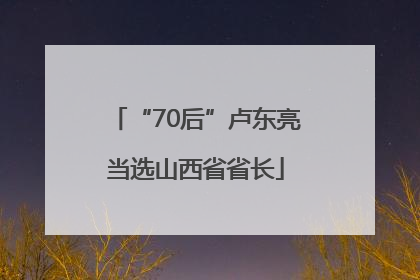 “70后”卢东亮当选山西省省长