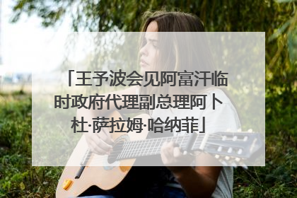 王予波会见阿富汗临时政府代理副总理阿卜杜·萨拉姆·哈纳菲