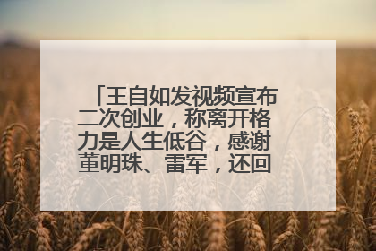 王自如发视频宣布二次创业，称离开格力是人生低谷，感谢董明珠、雷军，还回应了“工资条”：清楚自己要什么……