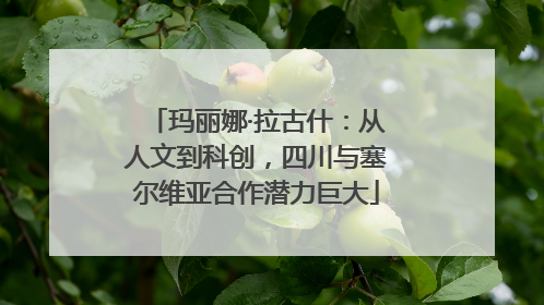玛丽娜·拉古什：从人文到科创，四川与塞尔维亚合作潜力巨大