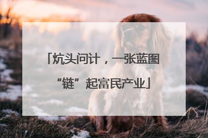 炕头问计，一张蓝图“链”起富民产业