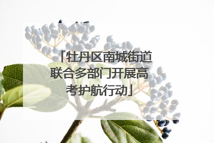 牡丹区南城街道联合多部门开展高考护航行动