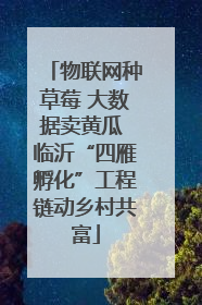 物联网种草莓 大数据卖黄瓜 临沂“四雁孵化”工程链动乡村共富