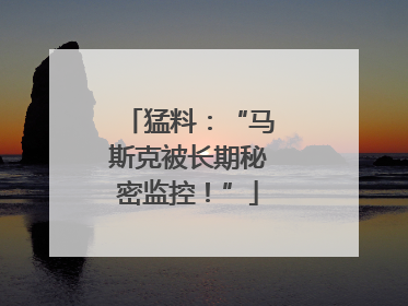 猛料：“马斯克被长期秘密监控！”