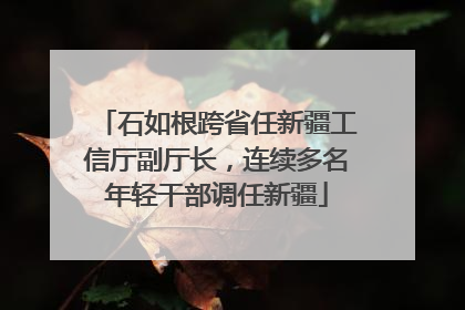 石如根跨省任新疆工信厅副厅长，连续多名年轻干部调任新疆