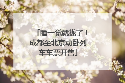 睡一觉就拢了！成都至北京动卧列车车票开售