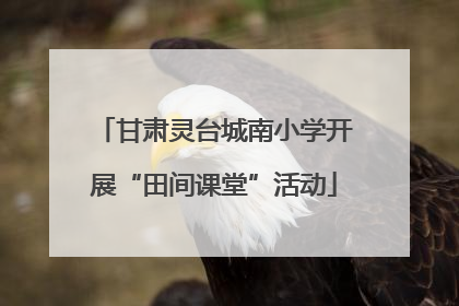 甘肃灵台城南小学开展“田间课堂”活动
