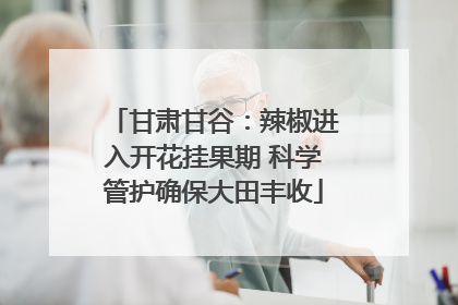 甘肃甘谷：辣椒进入开花挂果期 科学管护确保大田丰收