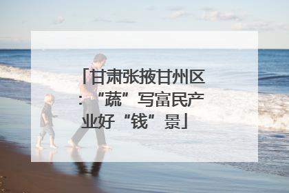 甘肃张掖甘州区：“蔬”写富民产业好“钱”景