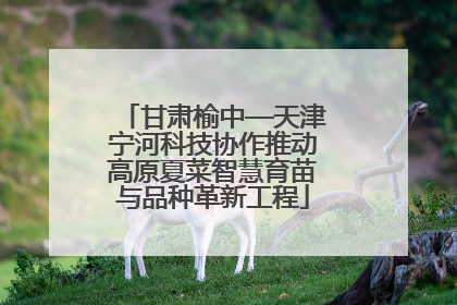 甘肃榆中—天津宁河科技协作推动高原夏菜智慧育苗与品种革新工程