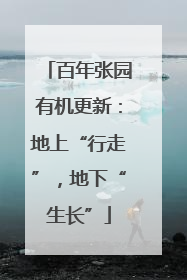 百年张园有机更新：地上“行走”，地下“生长”