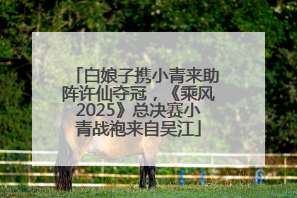 白娘子携小青来助阵许仙夺冠，《乘风2025》总决赛小青战袍来自吴江