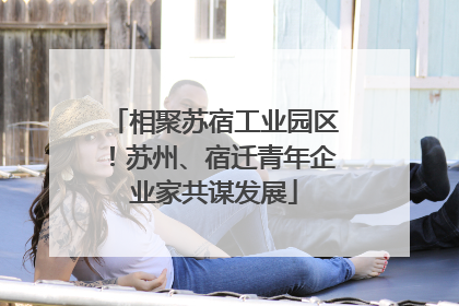 相聚苏宿工业园区！苏州、宿迁青年企业家共谋发展