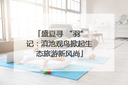 盛夏寻 “羽” 记：滇池观鸟掀起生态旅游新风尚