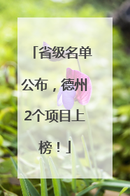 省级名单公布,德州2个项目上榜!