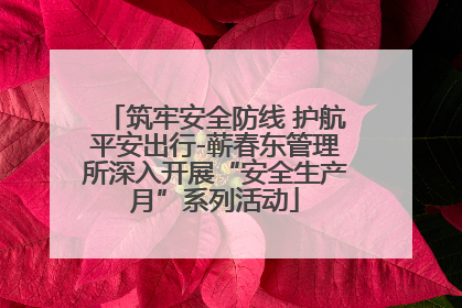 筑牢安全防线 护航平安出行-蕲春东管理所深入开展“安全生产月”系列活动