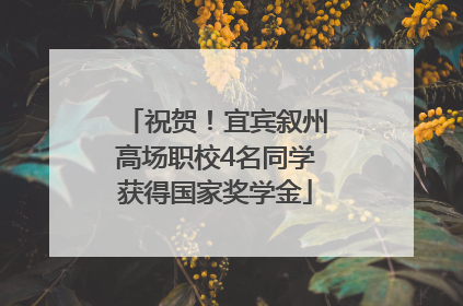祝贺！宜宾叙州高场职校4名同学获得国家奖学金