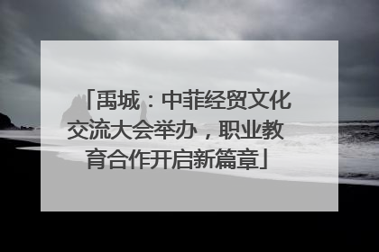 禹城：中菲经贸文化交流大会举办，职业教育合作开启新篇章