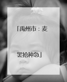 禹州市：麦罢抢种急