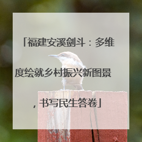 福建安溪剑斗：多维度绘就乡村振兴新图景，书写民生答卷