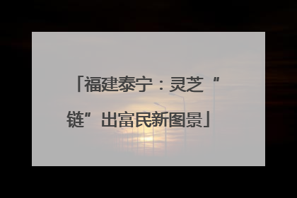福建泰宁：灵芝“链”出富民新图景