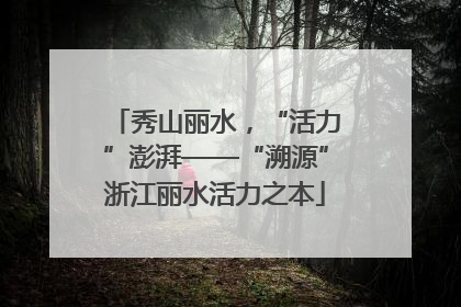 秀山丽水，“活力”澎湃——“溯源”浙江丽水活力之本