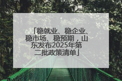 稳就业、稳企业、稳市场、稳预期，山东发布2025年第二批政策清单