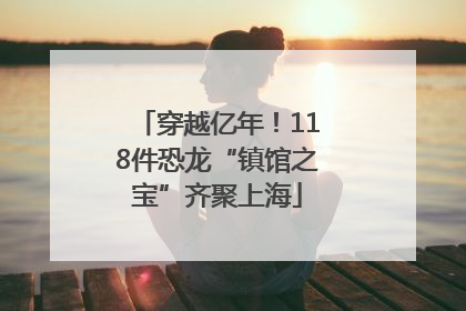 穿越亿年！118件恐龙“镇馆之宝”齐聚上海