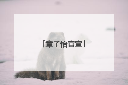 章子怡官宣