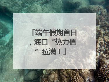 端午假期首日，海口“热力值”拉满！